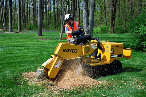 tree stump rental near me